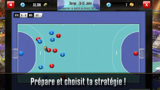 Handball Manager screenshot