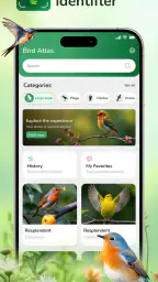 ID Bird: Bird Call Identifier screenshot