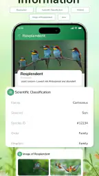 ID Bird: Bird Call Identifier screenshot