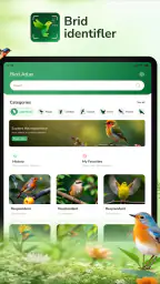 ID Bird: Bird Call Identifier screenshot