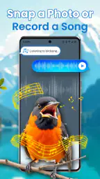 Identification des oiseaux screenshot