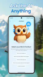 Identification des oiseaux screenshot