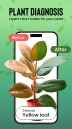 Identification des plantes screenshot