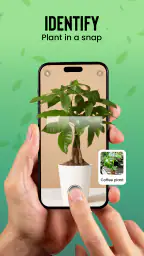 Identification des plantes screenshot