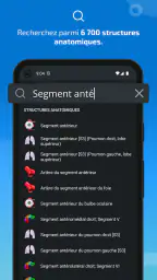 IMAIOS e-Anatomy screenshot