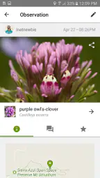 iNaturalist screenshot