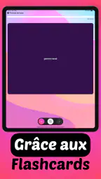 Iori Flashcards : Langues screenshot