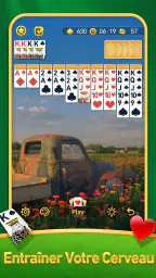 Jeu de Cartes Spider Solitaire screenshot
