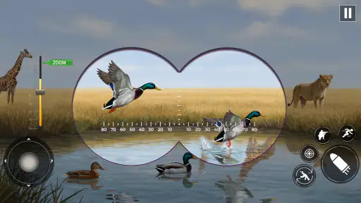 Jeu de Tir au Canard screenshot