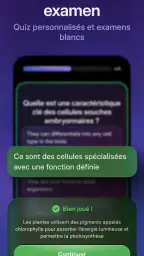 Knowunity: Tuteur scolaire IA. screenshot