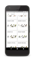 Le Guide Ornitho screenshot
