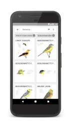 Le Guide Ornitho screenshot