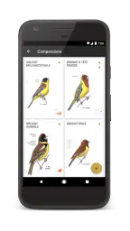 Le Guide Ornitho screenshot