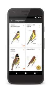 Le Guide Ornitho screenshot