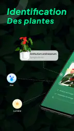 Identifier Plantes: LeafSnap screenshot
