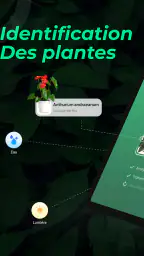 Identifier Plantes: LeafSnap screenshot