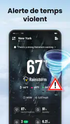 Local Weather screenshot