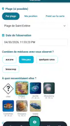 Meduseo screenshot