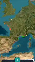 Meduseo screenshot
