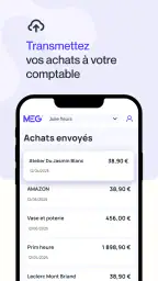 MEG - Mon Expert en Gestion screenshot
