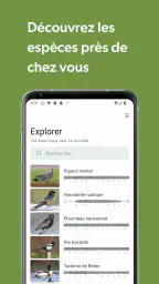 Merlin Bird ID par Cornell Lab screenshot