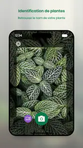 Monstera - Guide de plantes screenshot