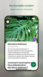 Monstera - Guide de plantes screenshot