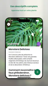 Monstera - Guide de plantes screenshot
