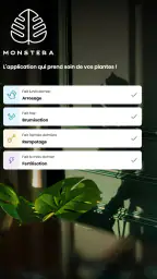 Monstera - Guide de plantes screenshot