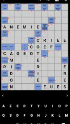 Mots Fléchés Français screenshot