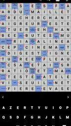 Mots Fléchés Français screenshot
