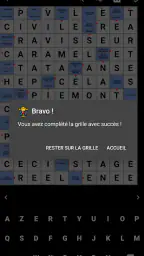 Mots Fléchés Français screenshot
