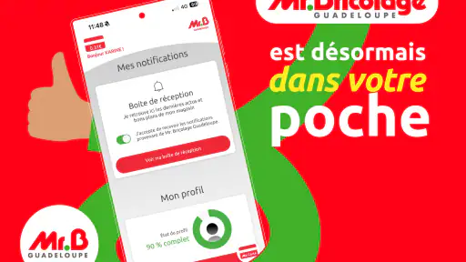 Mr. Bricolage Guadeloupe screenshot