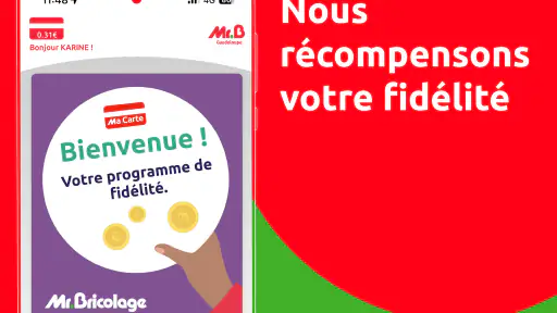 Mr. Bricolage Guadeloupe screenshot