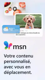 MSN screenshot