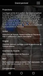 Muscle trigger point anatomie screenshot