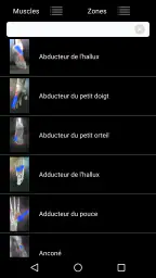 Muscle trigger point anatomie screenshot