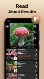 Mushromizer screenshot