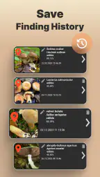 Mushromizer screenshot