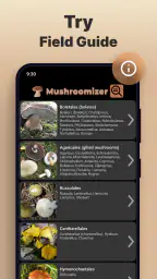 Mushromizer screenshot