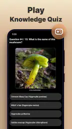 Mushromizer screenshot