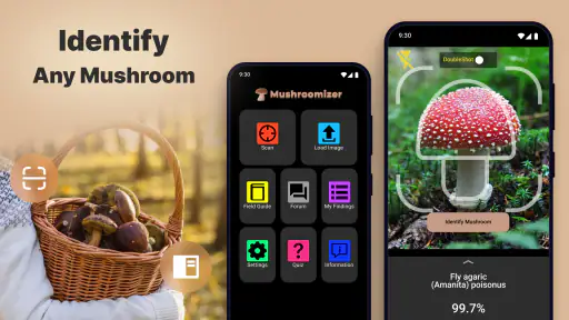 Mushromizer screenshot
