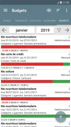 My Budget Book (français) screenshot