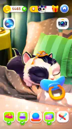 My Cat - Jeux de chat (AR) screenshot