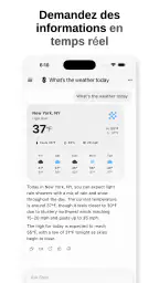 Mythos AI Chat Bot Assistant screenshot