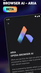 Navigateur Opera bêta screenshot