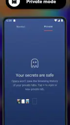 Navigateur Opera bêta screenshot
