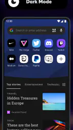 Navigateur Opera bêta screenshot