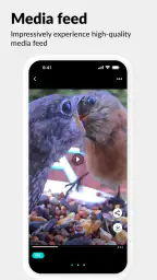 Netvue Next - In Sight In Mind screenshot