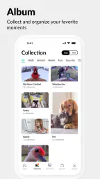 Netvue Next - In Sight In Mind screenshot